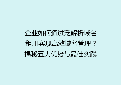 企业如何通过泛解析域名租用实现高效域名管理？揭秘五大优势与最佳实践！