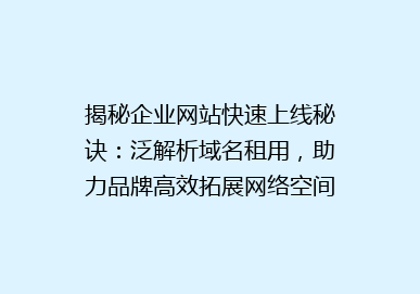 揭秘企业网站快速上线秘诀：泛解析域名租用，助力品牌高效拓展网络空间！