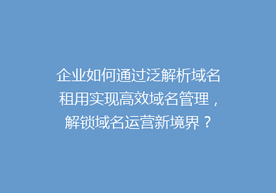 企业如何通过泛解析域名租用实现高效域名管理，解锁域名运营新境界？
