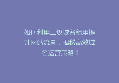 如何利用二级域名租用提升网站流量，揭秘高效域名运营策略！
