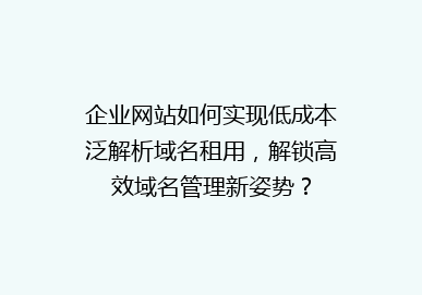 企业网站如何实现低成本泛解析域名租用，解锁高效域名管理新姿势？