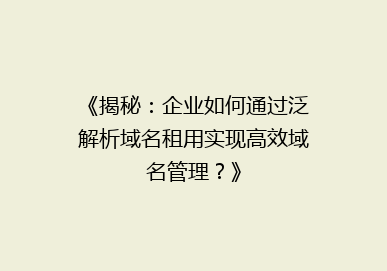 《揭秘：企业如何通过泛解析域名租用实现高效域名管理？》