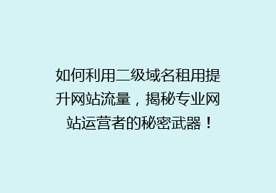 如何利用二级域名租用提升网站流量，揭秘专业网站运营者的秘密武器！