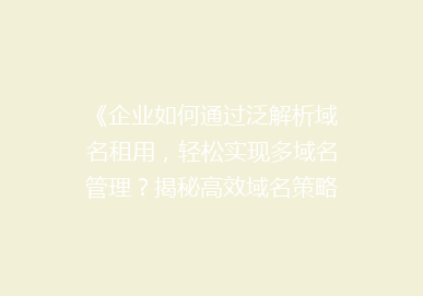 《企业如何通过泛解析域名租用，轻松实现多域名管理？揭秘高效域名策略》