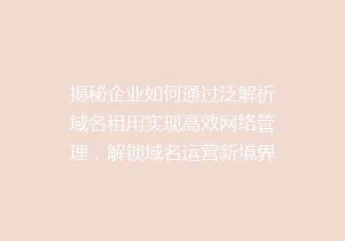 揭秘企业如何通过泛解析域名租用实现高效网络管理，解锁域名运营新境界！