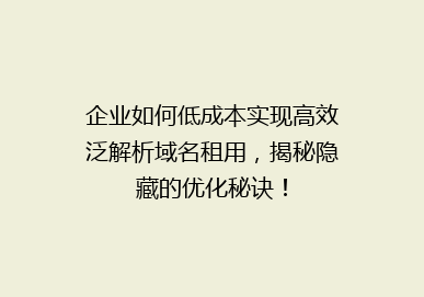 企业如何低成本实现高效泛解析域名租用，揭秘隐藏的优化秘诀！
