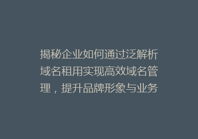 揭秘企业如何通过泛解析域名租用实现高效域名管理，提升品牌形象与业务效率