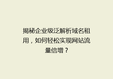 揭秘企业级泛解析域名租用，如何轻松实现网站流量倍增？