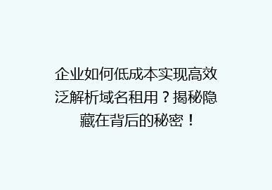 企业如何低成本实现高效泛解析域名租用？揭秘隐藏在背后的秘密！
