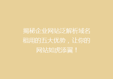 揭秘企业网站泛解析域名租用的五大优势，让你的网站如虎添翼！