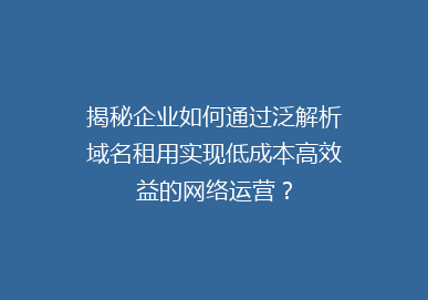 揭秘企业如何通过泛解析域名租用实现低成本高效益的网络运营？