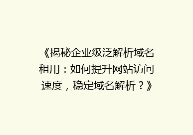 《揭秘企业级泛解析域名租用：如何提升网站访问速度，稳定域名解析？》