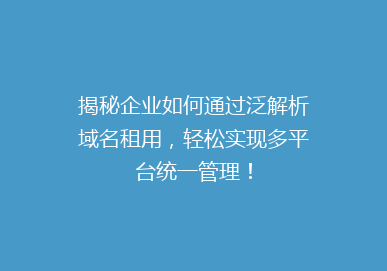 揭秘企业如何通过泛解析域名租用，轻松实现多平台统一管理！