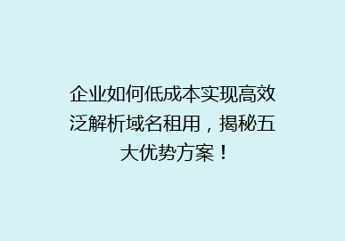 企业如何低成本实现高效泛解析域名租用，揭秘五大优势方案！