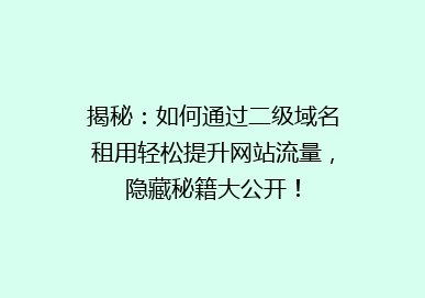 揭秘：如何通过二级域名租用轻松提升网站流量，隐藏秘籍大公开！