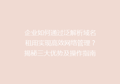 企业如何通过泛解析域名租用实现高效网络管理？揭秘三大优势及操作指南
