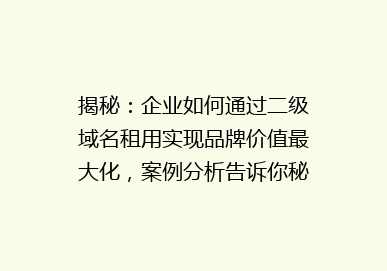 揭秘：企业如何通过二级域名租用实现品牌价值最大化，案例分析告诉你秘密！