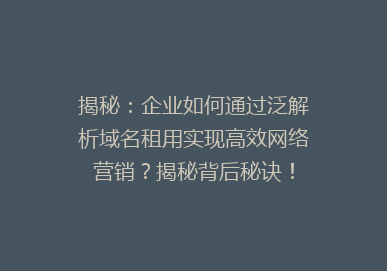 揭秘：企业如何通过泛解析域名租用实现高效网络营销？揭秘背后秘诀！