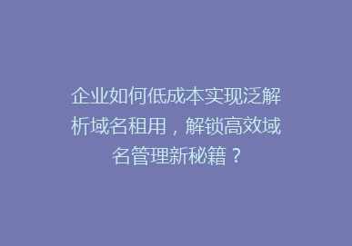企业如何低成本实现泛解析域名租用，解锁高效域名管理新秘籍？