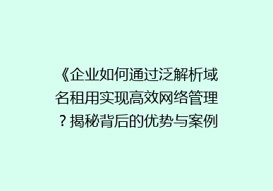 《企业如何通过泛解析域名租用实现高效网络管理？揭秘背后的优势与案例》