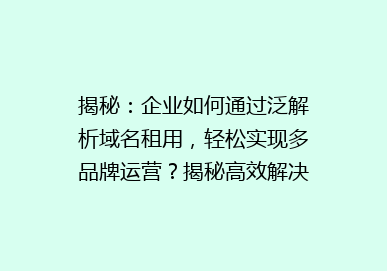 揭秘：企业如何通过泛解析域名租用，轻松实现多品牌运营？揭秘高效解决方案！