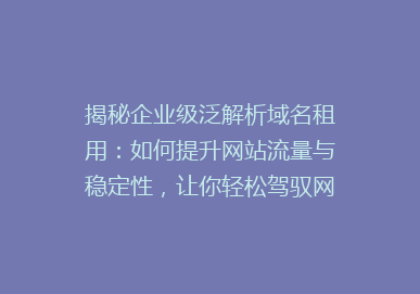 揭秘企业级泛解析域名租用：如何提升网站流量与稳定性，让你轻松驾驭网络世界！