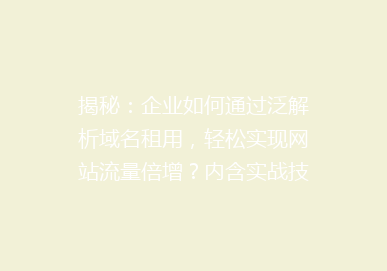 揭秘：企业如何通过泛解析域名租用，轻松实现网站流量倍增？内含实战技巧与案例分析！