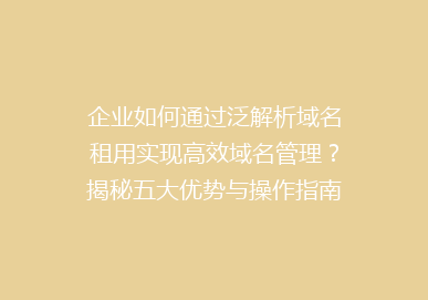 企业如何通过泛解析域名租用实现高效域名管理？揭秘五大优势与操作指南