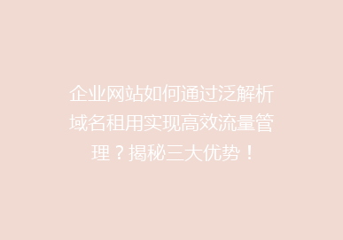企业网站如何通过泛解析域名租用实现高效流量管理？揭秘三大优势！