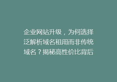 企业网站升级，为何选择泛解析域名租用而非传统域名？揭秘高性价比背后的秘密！