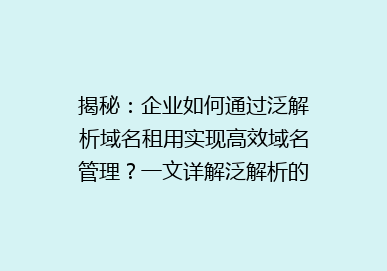 揭秘：企业如何通过泛解析域名租用实现高效域名管理？一文详解泛解析的优势与操作技巧