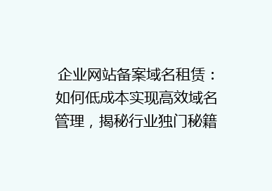 企业网站备案域名租赁：如何低成本实现高效域名管理，揭秘行业独门秘籍！