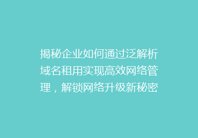 揭秘企业如何通过泛解析域名租用实现高效网络管理，解锁网络升级新秘密！