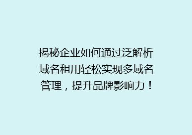 揭秘企业如何通过泛解析域名租用轻松实现多域名管理，提升品牌影响力！
