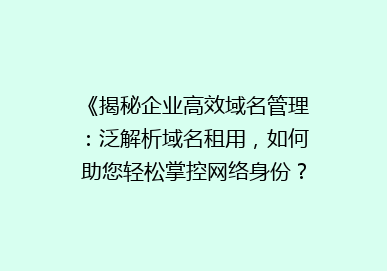 《揭秘企业高效域名管理：泛解析域名租用，如何助您轻松掌控网络身份？》