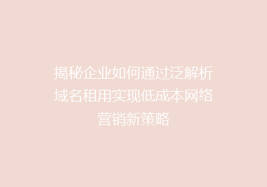 揭秘企业如何通过泛解析域名租用实现低成本网络营销新策略