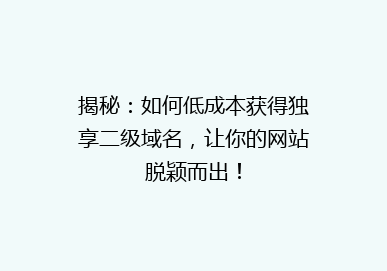 揭秘：如何低成本获得独享二级域名，让你的网站脱颖而出！