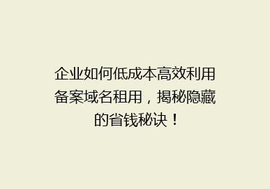 企业如何低成本高效利用备案域名租用，揭秘隐藏的省钱秘诀！