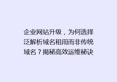 企业网站升级，为何选择泛解析域名租用而非传统域名？揭秘高效运维秘诀！