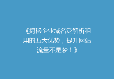 《揭秘企业域名泛解析租用的五大优势，提升网站流量不是梦！》