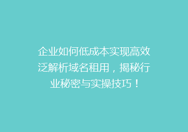 企业如何低成本实现高效泛解析域名租用，揭秘行业秘密与实操技巧！