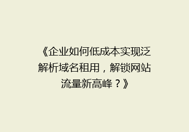 《企业如何低成本实现泛解析域名租用，解锁网站流量新高峰？》