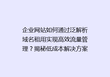 企业网站如何通过泛解析域名租用实现高效流量管理？揭秘低成本解决方案！