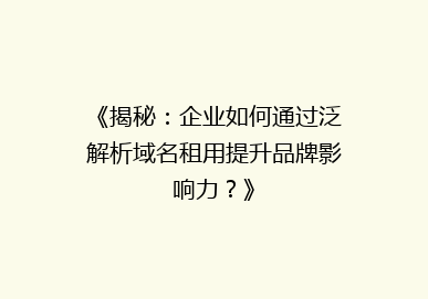 《揭秘：企业如何通过泛解析域名租用提升品牌影响力？》