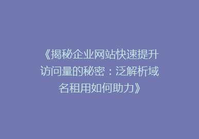 《揭秘企业网站快速提升访问量的秘密：泛解析域名租用如何助力》