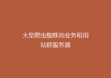 大型爬虫蜘蛛池业务租用站群服务器