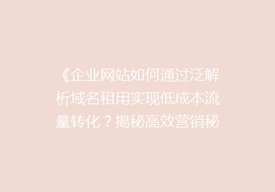 《企业网站如何通过泛解析域名租用实现低成本流量转化？揭秘高效营销秘诀》