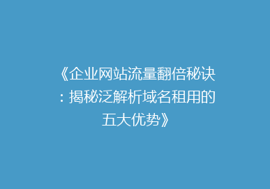 《企业网站流量翻倍秘诀：揭秘泛解析域名租用的五大优势》
