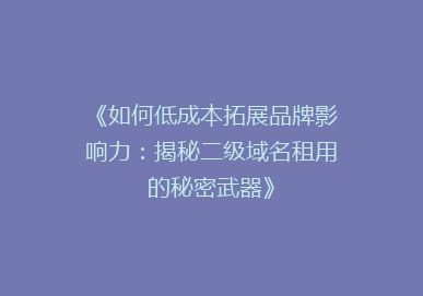 《如何低成本拓展品牌影响力：揭秘二级域名租用的秘密武器》