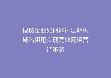 揭秘企业如何通过泛解析域名租用实现高效网络营销策略